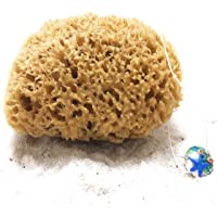 Los mejores  - tom&amp-pat® Esponja natural con cordel &amp- colgante de cristal- esponja baño sin blanquear del mar Mediterráneo- esponja…